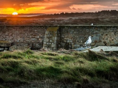 La maison du Lenn face à la mer Louannec Eksteriør bilde